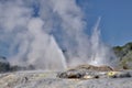 Pohutu Geyser, New Zeland