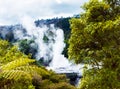 Pohutu Geyser, Te Puia, Rotorua, New Zealand