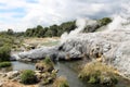 Pohutu geyser Whakarewarewa Thermal Valley, Rotorua in New Zealand Royalty Free Stock Photo