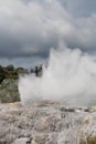 Pohutu geyser in the  Whakarewarewa Thermal Valley, Rotorua, New Zealand Royalty Free Stock Photo