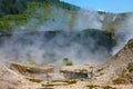 Pohutu Geyser in the Whakarewarewa Thermal Valley, Rotorua, in the North Island of New Zealand. Pohutu means big splash or explosi