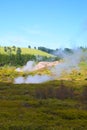 Pohutu Geyser in the Whakarewarewa Thermal Valley, Rotorua, in the North Island of New Zealand. Pohutu means big splash or explosi