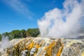 Pohutu Geyser in the Whakarewarewa Thermal Valley, Rotorua, in the North Island of New Zealand. Pohutu means big splash or explosi