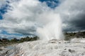 Pohutu and Prince of Wales geysers Royalty Free Stock Photo