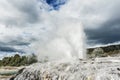 Pohutu and Prince of Wales geysers Royalty Free Stock Photo