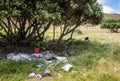 Rubbish dumped under Pohutukawa trees growing on dunes at Makorori Beach, Gisborne, New Zealand