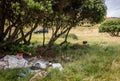 Rubbish dumped under Pohutukawa trees growing on dunes at Makorori Beach, Gisborne, New Zealand