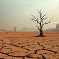 A Landscape of Despair Withered Trees and Parched Earth Reflect the Cruel Hand of Drought and Climate Change Royalty Free Stock Photo