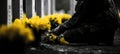 sad soldier placing flowers on a tombstone. Veterans Day, Memorial Day. grief after war military veteran. Royalty Free Stock Photo