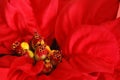 Poinsetta Royalty Free Stock Photo