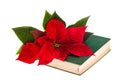 Poinsetta and book Royalty Free Stock Photo