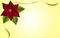 Poinsetta Stationary Royalty Free Stock Photo