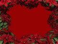 Poinsettia Border Royalty Free Stock Photo