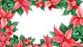 Poinsettia Christmas decoration. Border decoration card, cover web, frame print. Celebration design element. Hand painted watercol