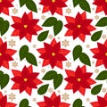 Poinsettia Christmas flowers seamless pattern. Royalty Free Stock Photo