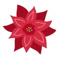 Poinsettia Christmas Star red flower - simple hand draw flat doodle. Vector illustration. Festive winter flower clip art