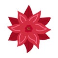 Poinsettia Christmas Star red flower - simple hand draw flat doodle. Vector illustration. Festive winter flower clip art