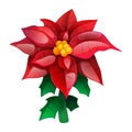 Poinsettia, Christmas Star red leaves isolated on white background. Euphorbia pulcherrima. Royalty Free Stock Photo