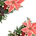 Poinsettia Floral Border