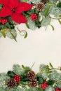 Poinsettia Flower Background Border with Winter Flora Royalty Free Stock Photo
