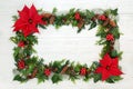 Poinsettia Flower Border for Thanksgiving & Christmas Royalty Free Stock Photo