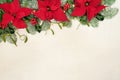 Poinsettia Flower Border for Thanksgiving Royalty Free Stock Photo