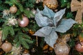 Poinsettia flower on a branch of a Christmas tree and golden balls, blurred background with garland and bokeh. Royalty Free Stock Photo