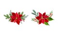 Poinsettia flower set. Christmas decorations with red flower, fir tree branches, cones and holly vector illustration Royalty Free Stock Photo