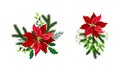 Poinsettia flower set. Christmas decorations with red flowers and fir tree branches vector illustration Royalty Free Stock Photo