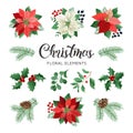 Poinsettia Flowers and Christmas Floral Elements in Watercolor Style vector. Royalty Free Stock Photo