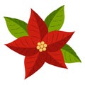 Poinsettia flowers, icon for the design of Christmas or New Year greeting cards. Vector illustration of poinsettia plant Royalty Free Stock Photo
