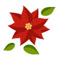 Poinsettia flowers, icon for the design of Christmas or New Year greeting cards, on a white background. Vector Royalty Free Stock Photo