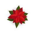 Poinsettia flowers isolated icon for Christmas or New Year greeting card design. Royalty Free Stock Photo