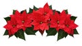 Poinsettia flowers wave arrangement