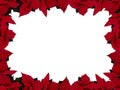 Poinsettia frame (rectangle)