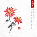 Poinsettia hand drawn with ink on rice paper background. Royalty Free Stock Photo