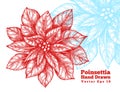 Poinsettia hand drawn red flowers vector illustration