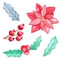 Poinsettia, holly, wild rose, set of cute watercolor pictures, freehand drawing for new year and christmas, white background Royalty Free Stock Photo