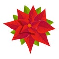 Poinsettia icon, cartoon style