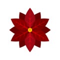 Poinsettia icon flat isolated vector