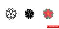 Poinsettia icon of 3 types. Isolated vector sign symbol.