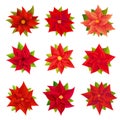 Poinsettia icons set, cartoon style Royalty Free Stock Photo