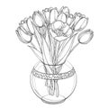 Vector bouquet with outline tulip flowers, bud and ornate leaves in transparency round vase in black isolated on white background. Royalty Free Stock Photo