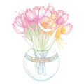 Vector bouquet with outline tulip flowers, bud and ornate foliage in transparency round vase in pastel pink and green isolated.