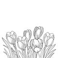 Vector spring bouquet with outline crocus or saffron flower and ornate leaf in black isolated on white background.