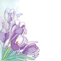 Vector corner bouquet with outline violet crocus or saffron flower and green leaf on the pastel background. Ornate floral bunch. Royalty Free Stock Photo