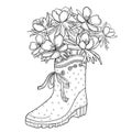 Vector bouquet of outline Eranthis or winter aconite flower and leaves in the rubber boot in black isolated on white background. Royalty Free Stock Photo