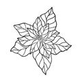 Poinsettia leaf vector illustration. Floral hand drawn branch, Christmas linear element. Xmas elegant silhouette top Royalty Free Stock Photo