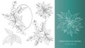 Poinsettia Line Art. Christmas Floral Frames and Bouquets Line Art Royalty Free Stock Photo