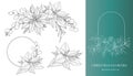 Poinsettia Line Art. Christmas Floral Frames and Bouquets Line Art Royalty Free Stock Photo